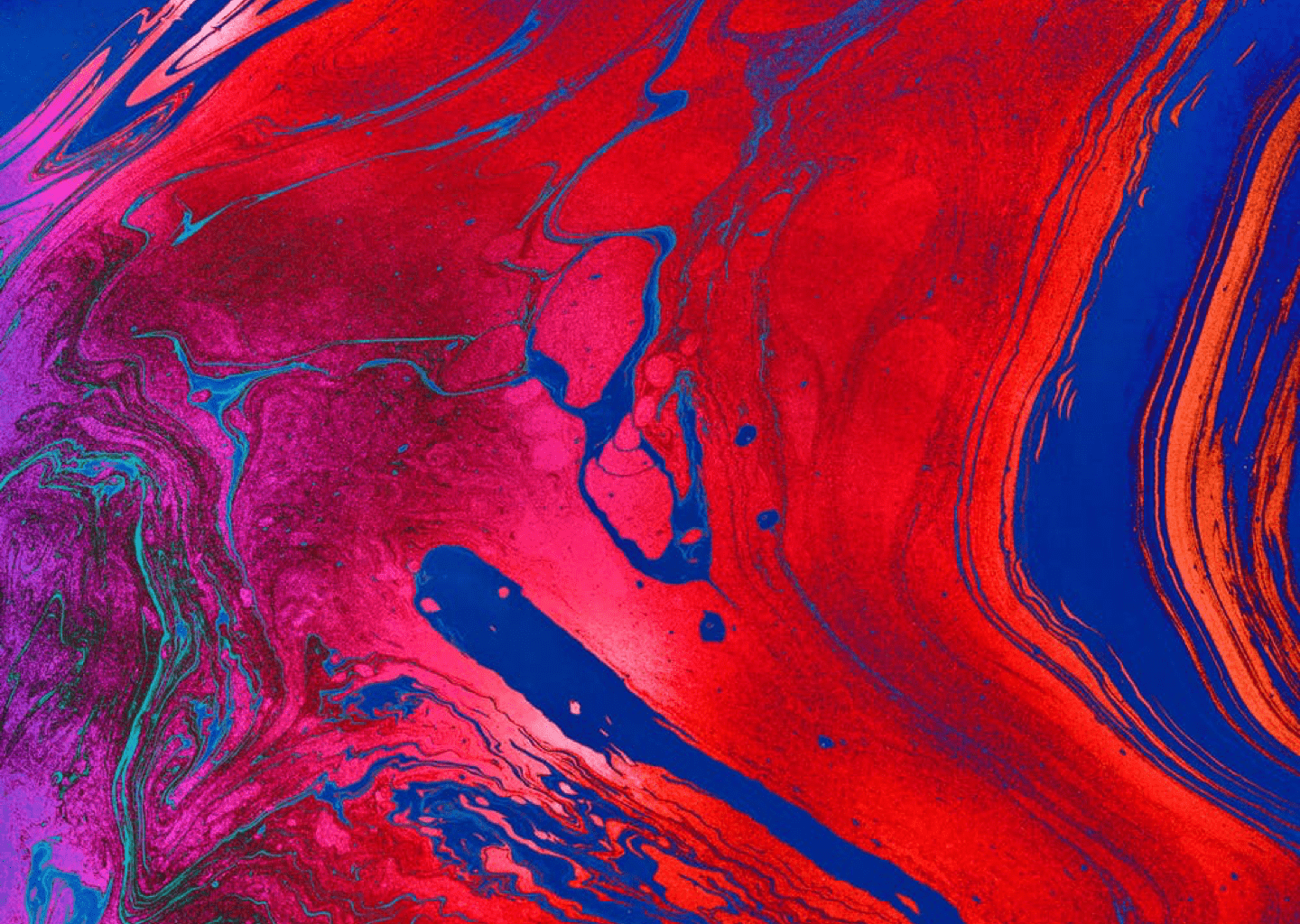 Label Banner Image